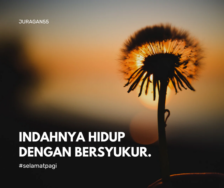 Bus Premium juragan55